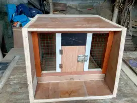 GUPON KAYU BURUNG DARA