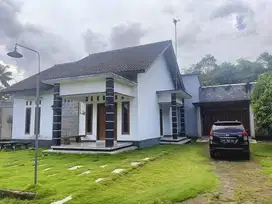 Jual Tanah & Rumah Asri Rimbun