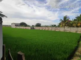 DIJUAL TANAH SAWAH