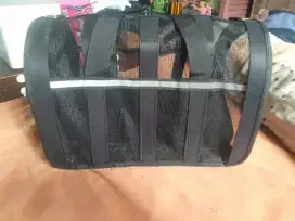Tas kucing tas jinjing