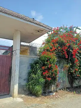 Tanah cocok buat villa di batu malang