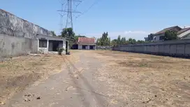 tanah sewa murah dekat tol krian