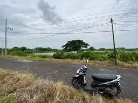 DIJUAL TANAH MURAH Jalan Pantura COCOK UNTUK GUDANG ATAU PABRIK