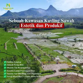 Kavling Sawah Estetik SHM, Nuansa Alam Golden View Bogor Timur
