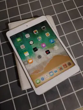 iPad Mini 2 16gb Silver
