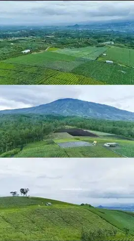 DI JUAL LAHAN LOKASI BUMIAJI BUKIT JENGKOANG KOTA BATU