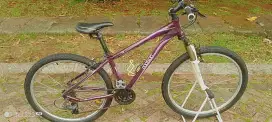 Sepeda gunung polygon Cleo 1.0