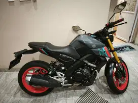 YAMAHA MT 15 2021 GRAY GLOSSY
