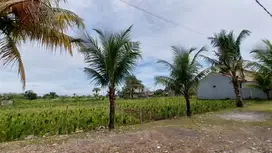 Jangan Lewatkan Kesempatan Tanah Kavling sisa 1 Unit Hanya 2 Jt an