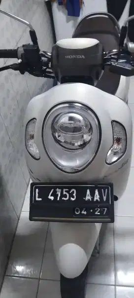 Honda scoopy th 2022