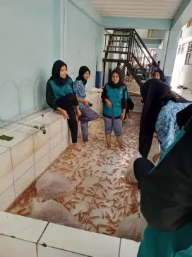 Jual bibit ikan Nila