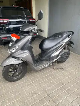 FreeGo 2019 type S