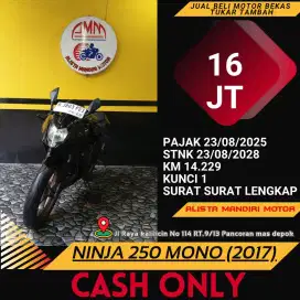 NINJA 250 MONO TH  2017 KM LOW PAJAK ON BODY MULUS