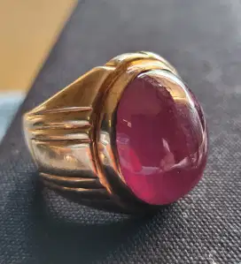 Ruby pigeon natural