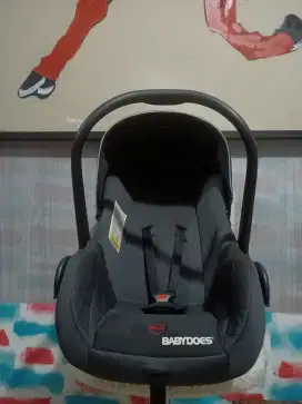 Baby Does Car Seat