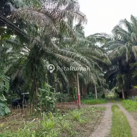 DIJUAL TANAH JALAN SUGAU - DAERAH PANCUR BATU (Hendra)