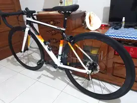 Road bike - RB Polygon Strattos S3 (modified)
