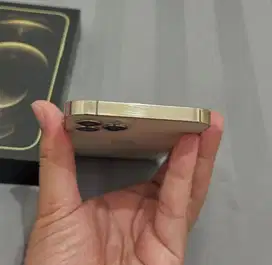 Iphone 12 pro 256gb gold beacukai