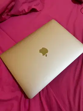Macbook Retina 12 Inch Gold ( Ram 8 Gb )