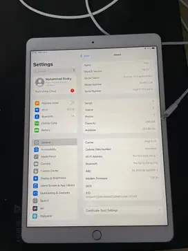 Ipad Air 3 256 gb wifi+cell