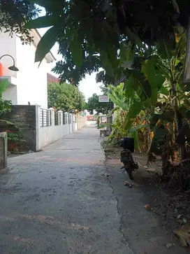 TANAH STRATEGIS MURAH DEKAT KAMPUS UMY RINGROAD SELATAN BANTUL YOGYA