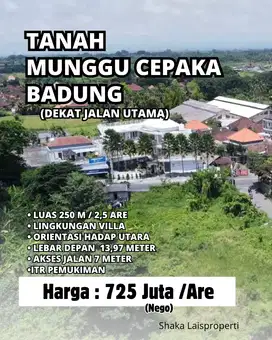 Tanah Luas Kecil Dekat Jalan Utama Cepaka Munggu
