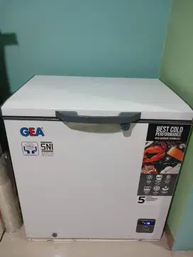 Freezer Box GEA 200 liter