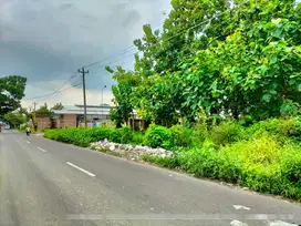 Tanah zona merah include Pohon Jati Ngabeyan Kartasura