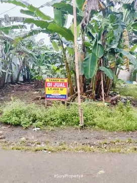 Dijual tanah murah strategis pinggir jalan desa