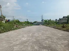 Utara Kampus UGM Jogja, Prospek bangun Kos