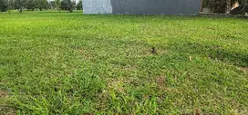 JUAL SECEPAT KILAT ! Tanah Kavling Suvarna Sutera view golf 299m2