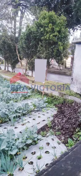 Tanah View Alam Lokasi Favorit Wisatawan Cocok untuk Bisnis