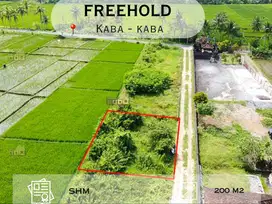 Tanah View Sawah di Buwit, 15 Menit ke Canggu