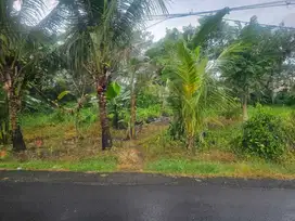 For sale tanah lokasi  desa wisata kaba kaba