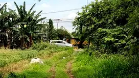 Jual tanah habis PEMILU luas 1,2 hektar di jalan parung BSD