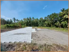 95 Juta Tanah Murah Jogja, di Kulonprogo dekat YIA