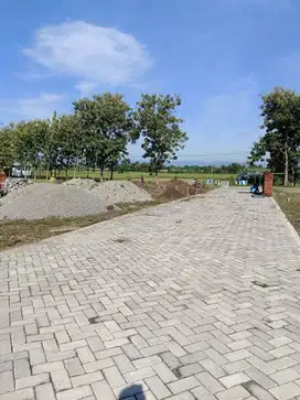 TANAH KAVLING MURAH DEKAT KANTOR DESA SEDAH JENANGAN