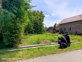 TANAH PEKARANGAN DEKAT BALAI DESA TRANJANG SIMAN