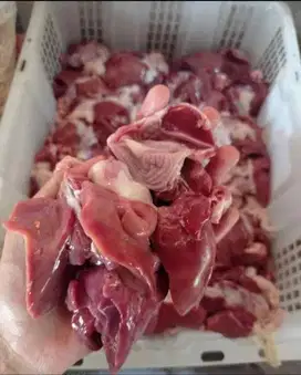 Usus dan ati ampela ayam