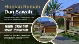 RUMAH SIAP HUNI - SAWAH PTODUKTIF - KOLAM IKAN - KOLAM RENANG
