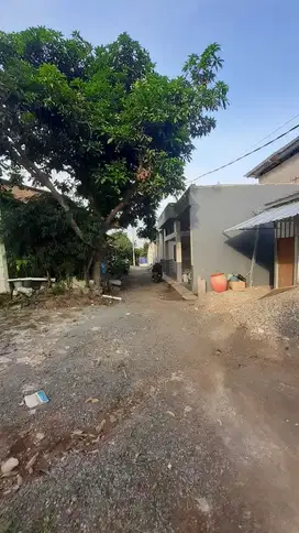 Tanah Tembalang Bulusan Undip