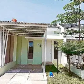 RUMAH MURAH DI TANJUNG BUNGA GREEN RIVER VIEW