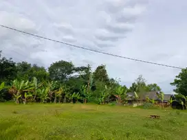hanya 800Rb-an Kavling Cibarusah bisa Cicil, dekat Deltamas Cikarang