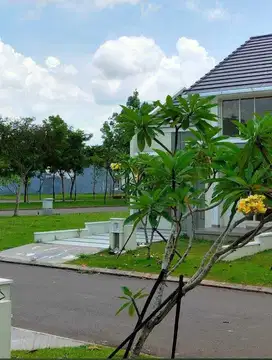 Kavling Tanah Suvarna sutera Luas 162