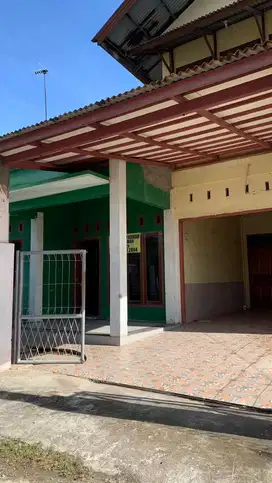 rumah di sewakan