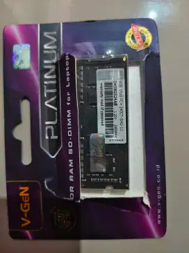 Ram Vgen platinum pc 2400 8gb