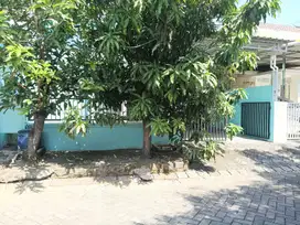 Rumah Siap Huni Luas 113 m2 Bangunan Kokoh Perum Deltasari Sidoarjo