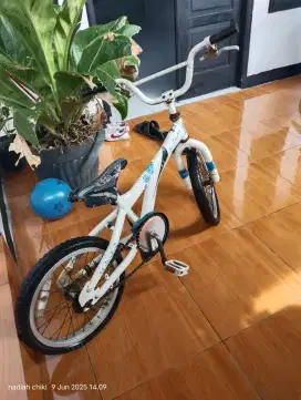 BMX schwinn USA