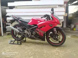 Kawasaki Ninja 150 RR