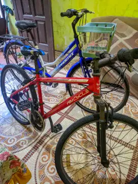 Jual murah 2 sepeda phonix dan wimcycle